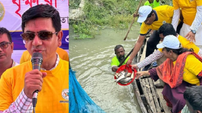 কুমার নদে কচুরিপানা অপসারণ ও পোনা অবমুক্ত করলেন ডিসি
