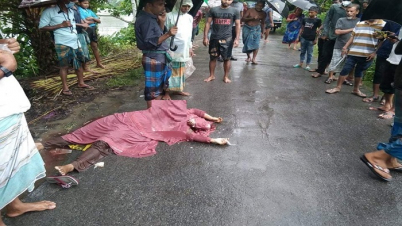 মাগুরায় সড়ক দুর্ঘটনায় প্রাণ হারালেন প্রবাসীর স্ত্রী মাগুরায় সড়ক দুর্ঘটনায় প্রাণ হারালেন প্রবাসীর স্ত্রী
