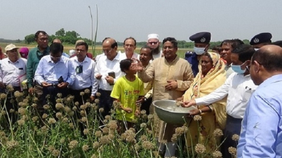 দাম কমলে কৃষক ক্ষতিগ্রস্থ, বাড়লে ক্রেতারা নাখোস: কৃষিমন্ত্রী