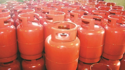 কমল এলপি গ্যাসের দাম