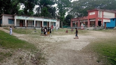 স্কুলের নেই সীমানা প্রাচীর:নিরাপত্তা ঝুঁকিতে শিক্ষার্থীরা