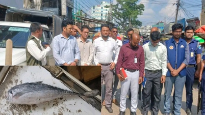 ফরিদপুরে অবৈধভাবে মাছ মজুদ ও বিক্রি, ব্যবসায়ীকে ১ লাখ টাকা জরিমান