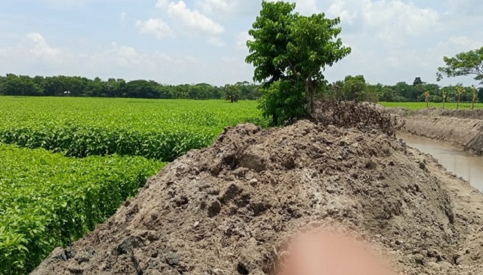 খাল পুনঃখনন কাজে অনিয়ম, ধ্বংস হচ্ছে খেতের ফসল