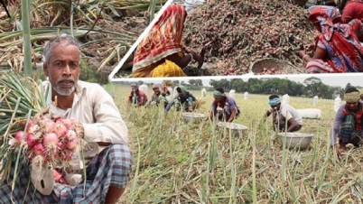 ‘পেঁয়াজের ন্যায্যমূল্য না পেলে আগামীতে আর চাষ করবো না’