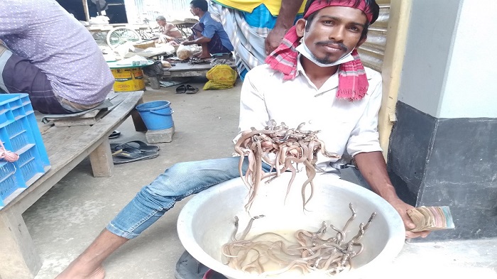 গামলার মধ্যে ১১০টি গোখরা, যেন মৃত্যুর সঙ্গে খেলছেন ইমরান (ভিডিও)